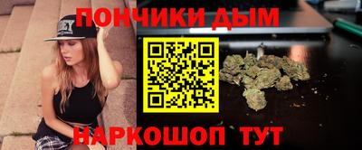 индика Кинель