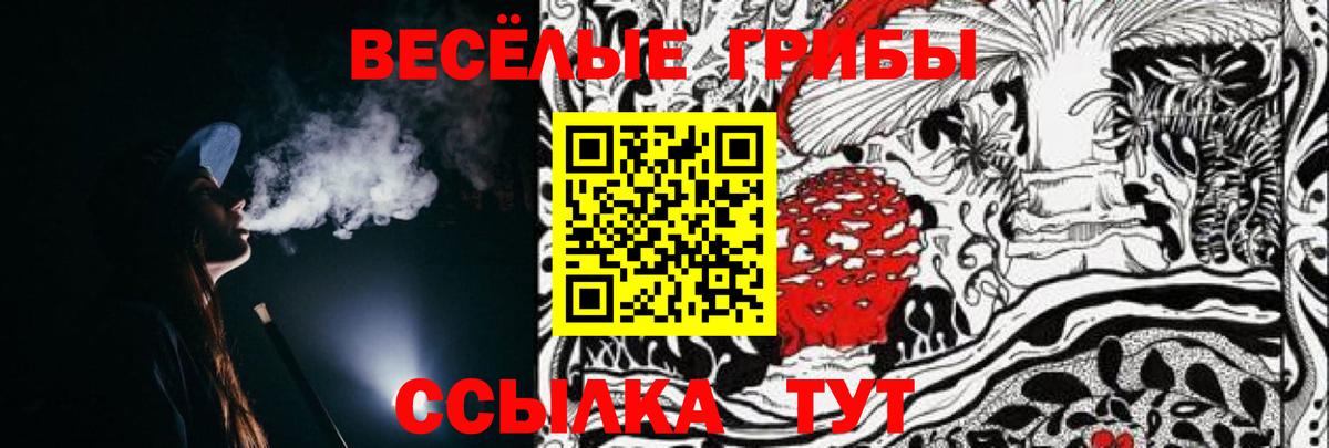 Коряжма  как найти   Галлюциногенные грибы MAGIC MUSHROOMS  Вход с VPN  Галлюциногенные грибы прущие грибы 